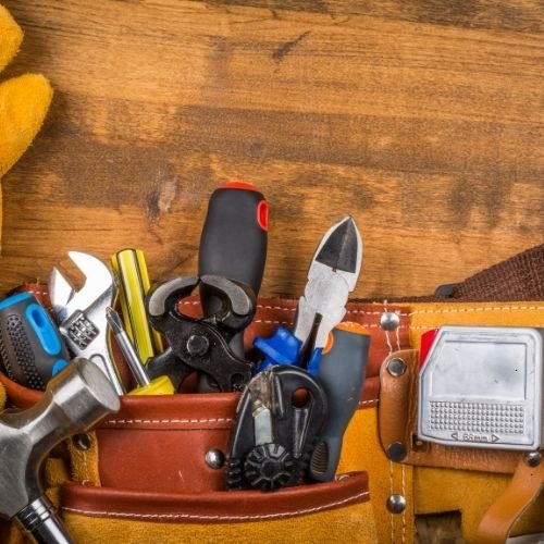 מדיניות אחזקה